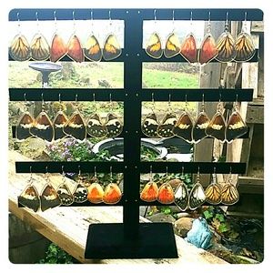 Butterfly Wing Earrings *real* from Costa Rica