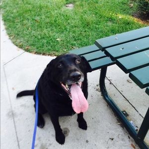 Meet your Posher, Kristen