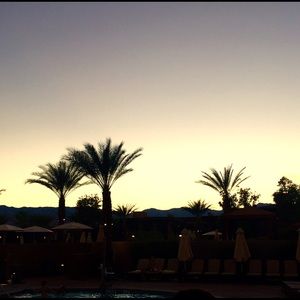 Meet your Posher, Delaney