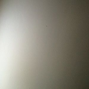 Meet your Posher, Tania