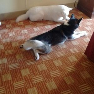 Meet your Posher, Erika