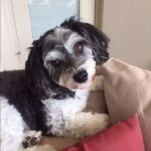 Meet your Posher, Veronica