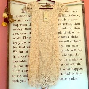 LOVEPOINT short sleeve crochet dress!