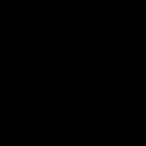 Meet your Posher, Ebony