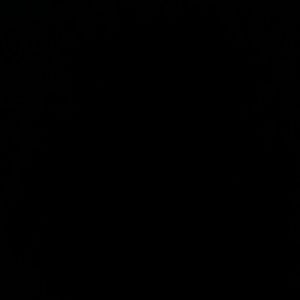 Meet your Posher, Maggie