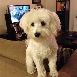 Meet your Posher, Jessica