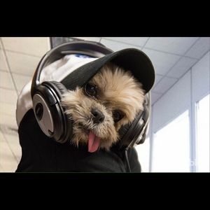 Meet your Posher, Savana