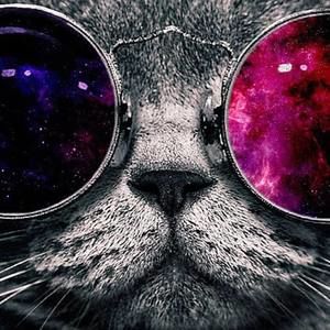 Meet your Posher, Melinda