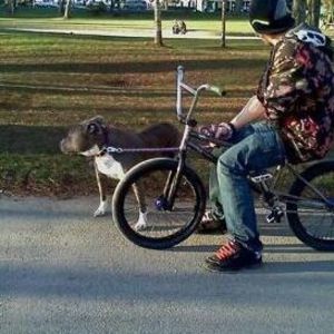 Meet your Posher, Floyd