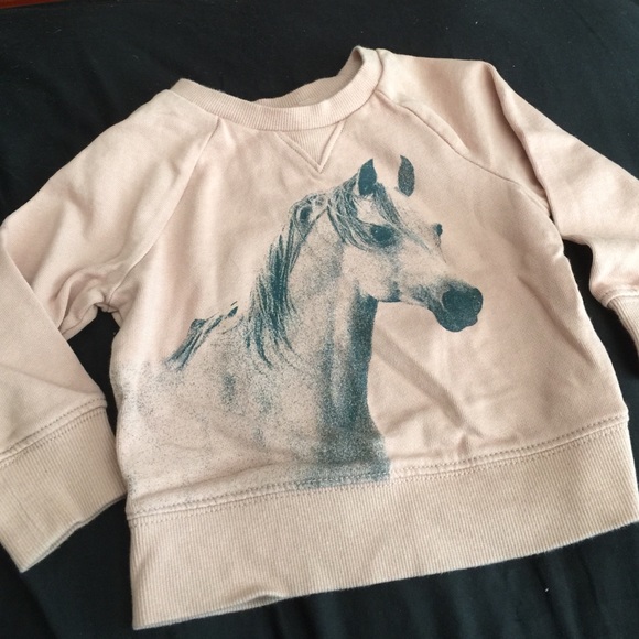 🌺sold🌺Sweatshirt from baby gap.