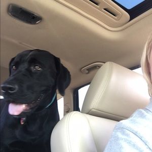 Meet your Posher, Cassie