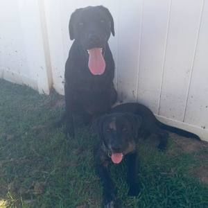 Meet your Posher, Lindsey