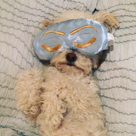 Meet your Posher, Caroline - Picture 2 of 4