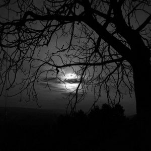 Meet your Posher, Autumn