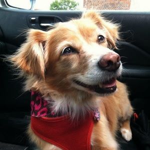 Meet your Posher, Marcie