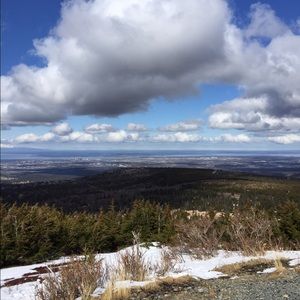 Meet your Posher, Kari