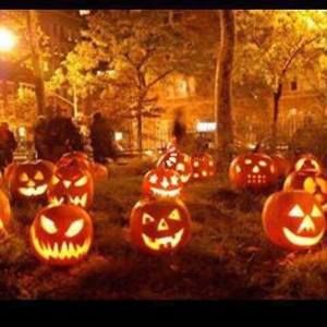 Meet your Posher, Helene