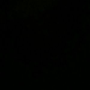 Meet your Posher, Bill