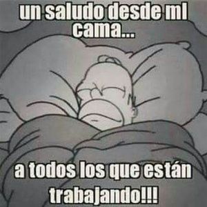 Meet your Posher, Rosi