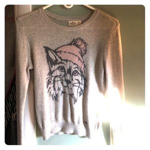 Bobcat Hollister sweater