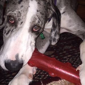 Meet your Posher, Derek