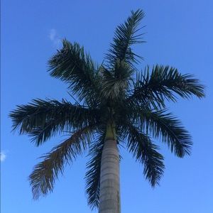 Meet your Posher, Jane