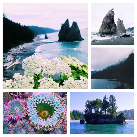 Meet your Seller/Buyer!☺️ - Picture 3 of 4