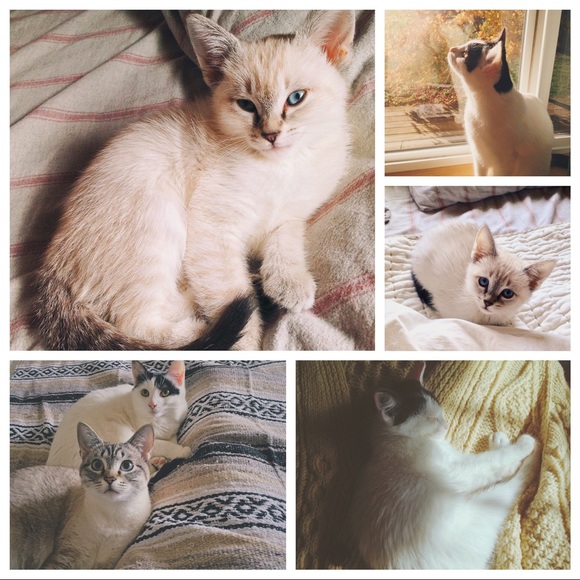 Meet your Seller/Buyer!☺️ - Picture 4 of 4