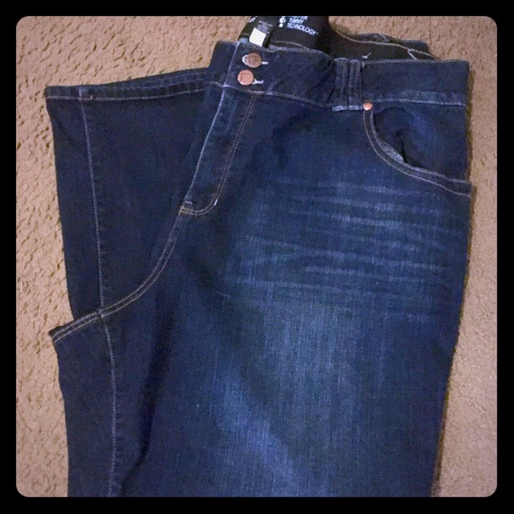 Lane Bryant Plus Size Jeans