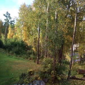 Meet your Posher, Joann