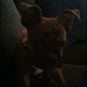 Meet your Posher, Heather