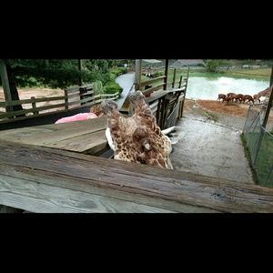 Meet your Posher, Beverly