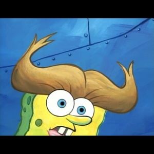 Meet your Posher, Lexi