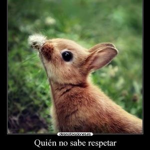 Meet your Posher, Olga