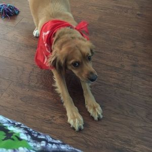 Meet your Posher, Gina