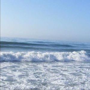 Meet your Posher, Susanna