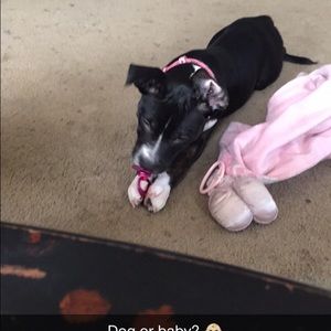 Meet your Posher, Marissa