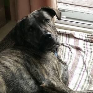 Meet your Posher, Gina