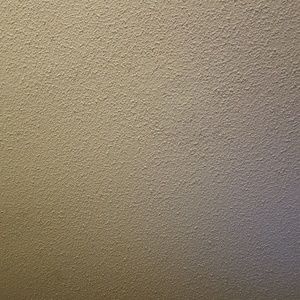 Meet your Posher, Rose