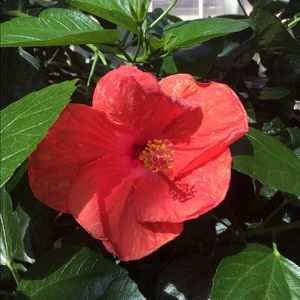 Meet your Posher, Kristin