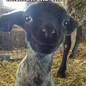 Meet your Posher, Natalier