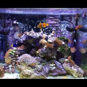 Meet your Posher, Krystal