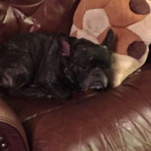 Meet your Posher, Gabi