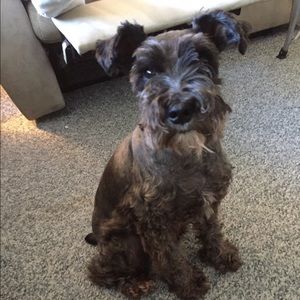 Meet your Posher, Kristal