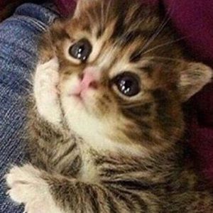 Meet your Posher, Clarissa