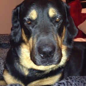 Meet your Posher, Cristina