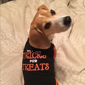 Meet your Posher, Jaime