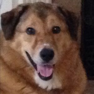 Meet your Posher, Ellen