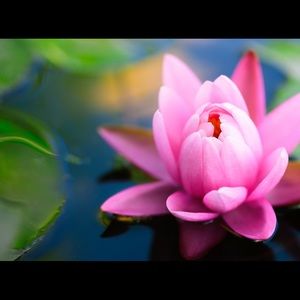 Meet your Posher, Tonya