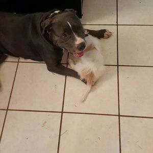 Meet your Posher, Becky